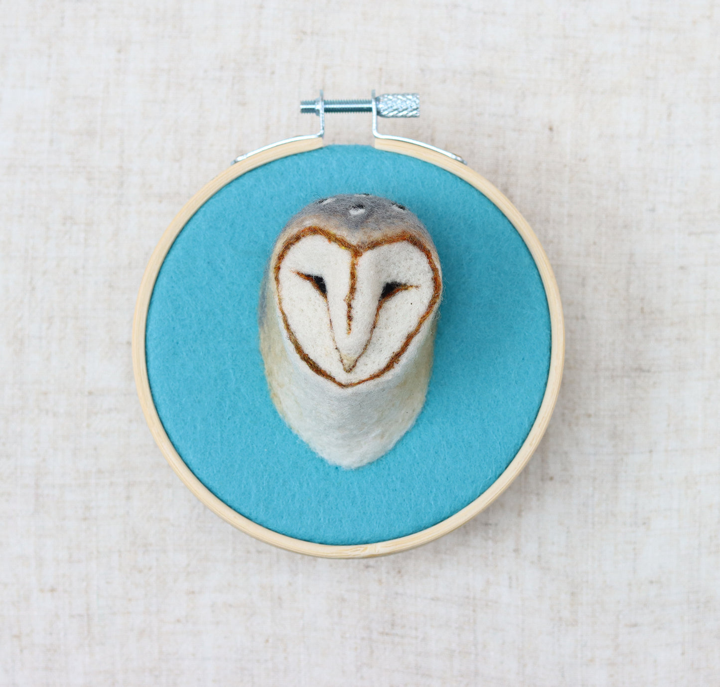 Barn Owl Portrait