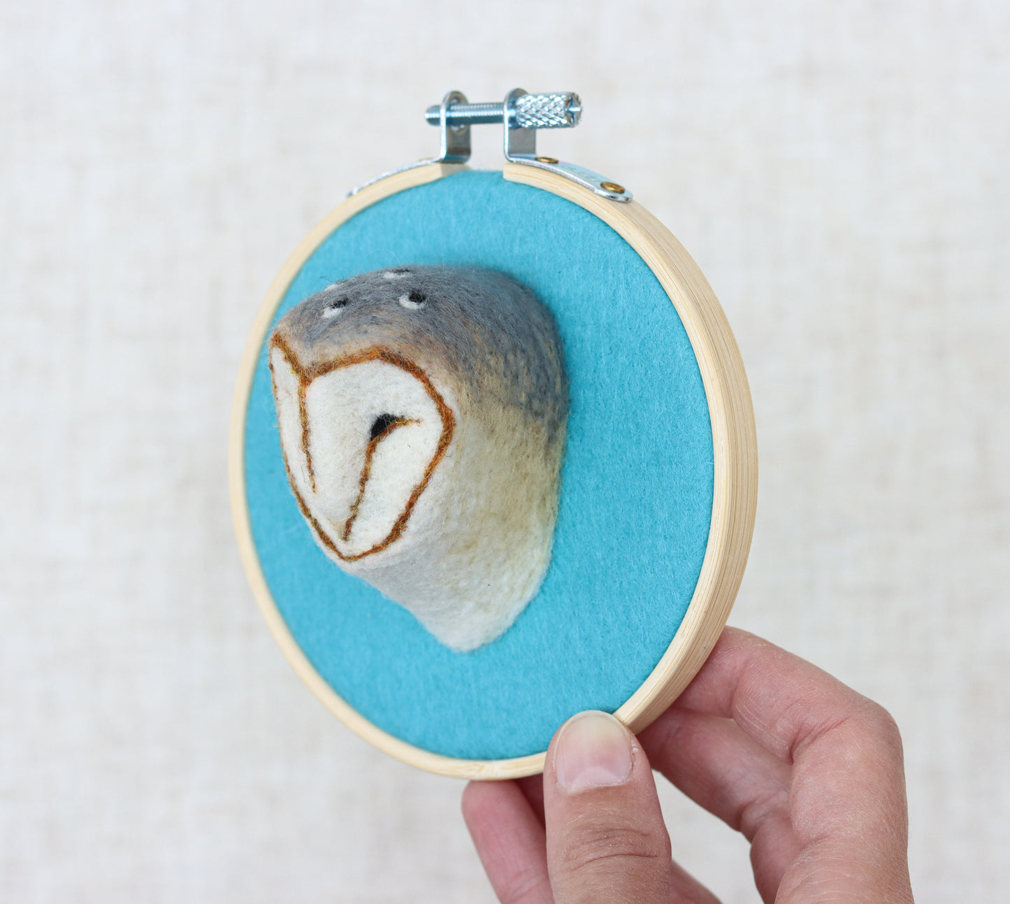 Barn Owl Portrait