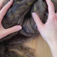 Black Walnut Needle Felting Wool, Wool Batting, Batts, Fleece, Wet Felting, Spinning, Dark Brown, Dyed Felting Wool, Fiber Art Supplies