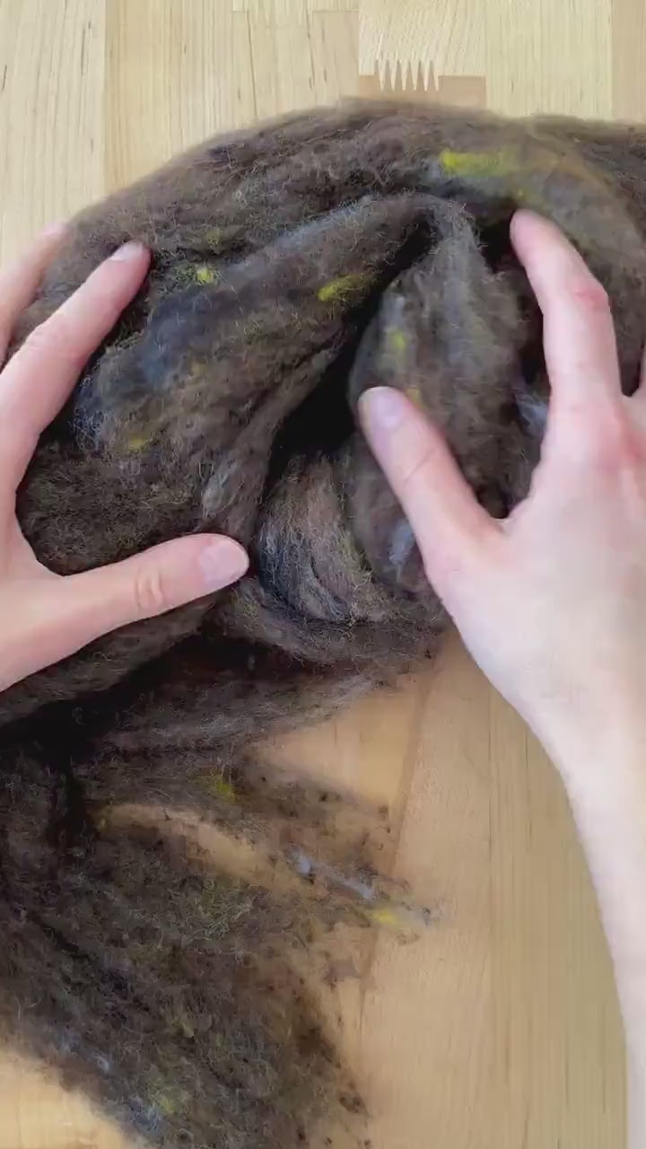 Black Walnut Needle Felting Wool, Wool Batting, Batts, Fleece, Wet Felting, Spinning, Dark Brown, Dyed Felting Wool, Fiber Art Supplies