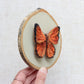 Needle Felted Butterfly - Scarce Copper