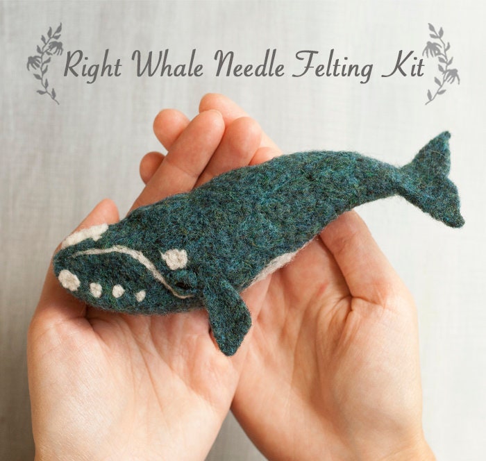 Right Whale - Needle Felting Kit - Beginner