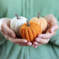 Pumpkins - Needle Felting Kit
